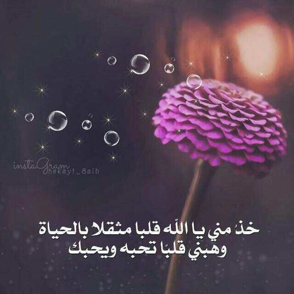 Meet your Posher, Mohmmed - Picture 1 of 1